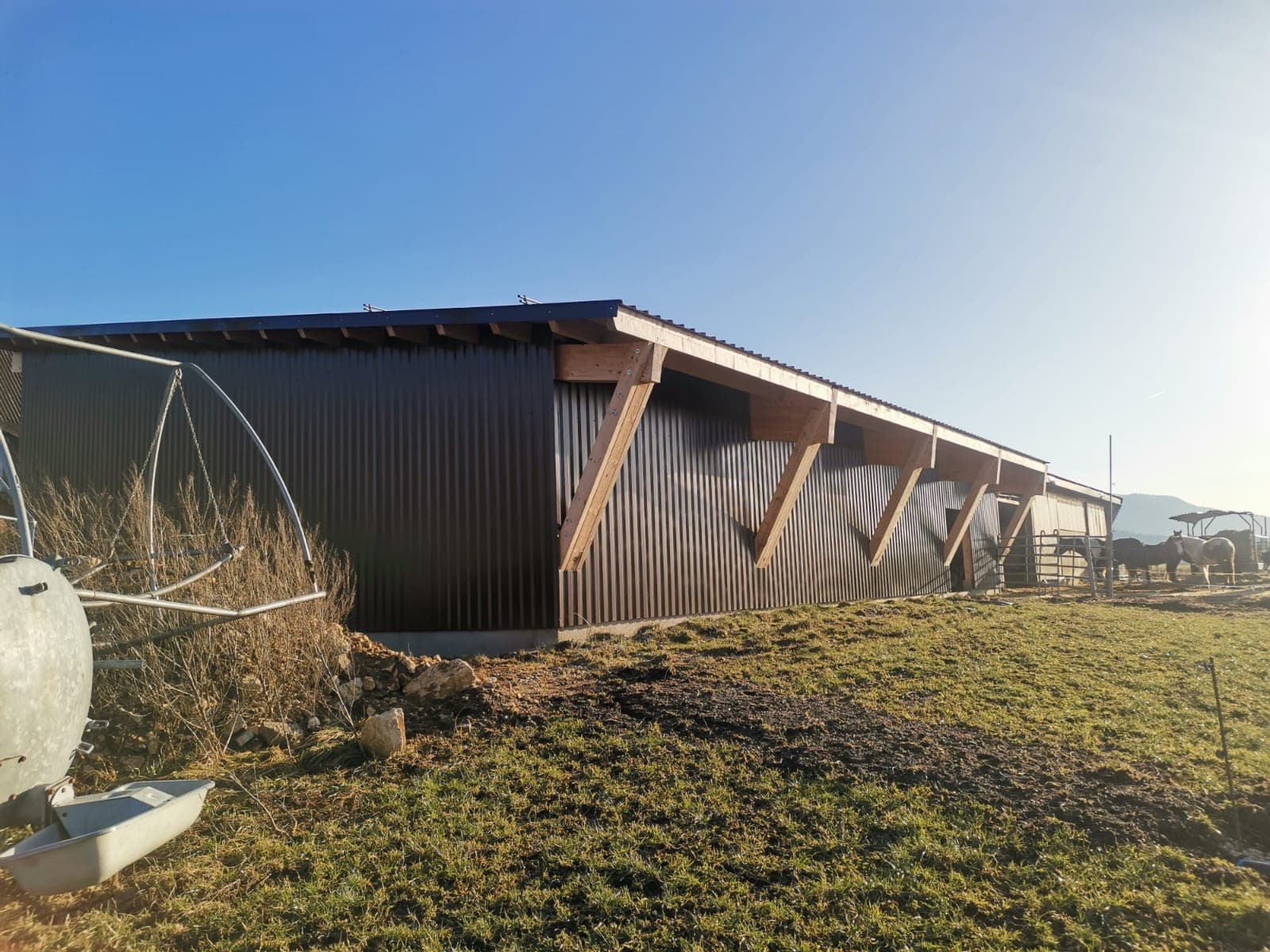 Contemporary dark-clad agricultural hall with timber structural posts, cattle in background